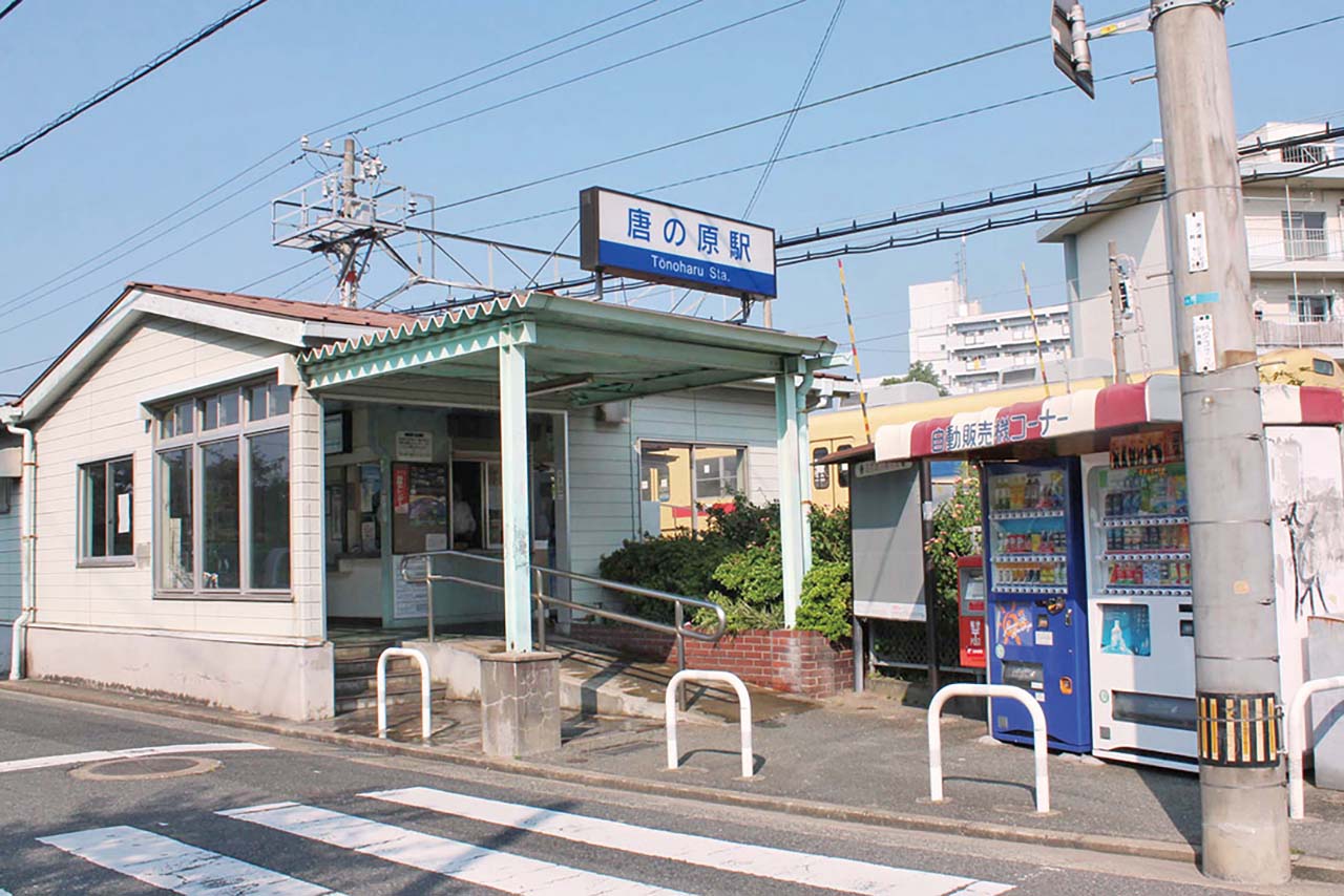 写真