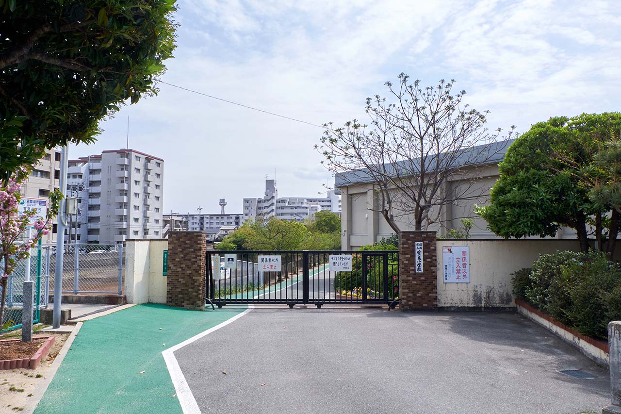 写真