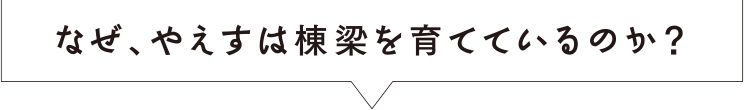 なぜ、やえすは棟梁を育てているのか？